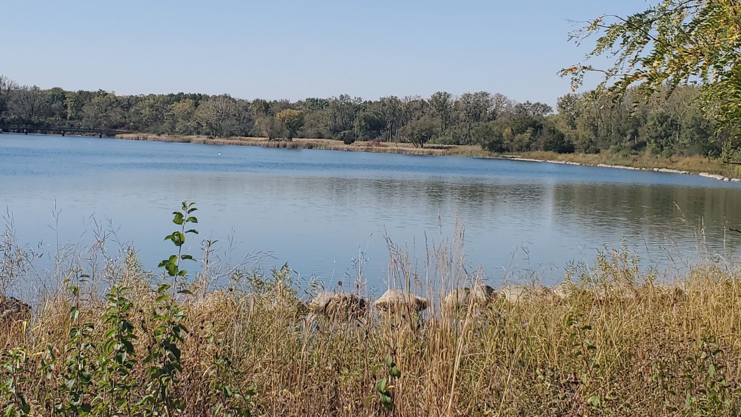 Mallard Lake 